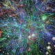 Illustration for article titled Will the internet become a new archaeological record?